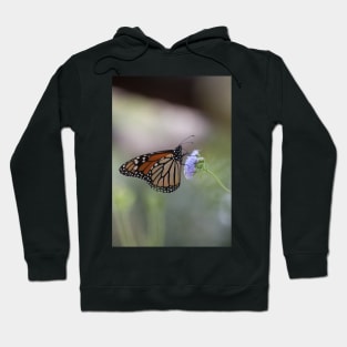 Migration Series V Hoodie